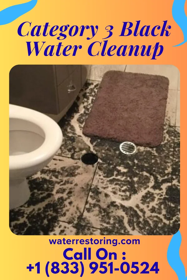 Category 3 Black Water Cleanup in Jonesboro, LA