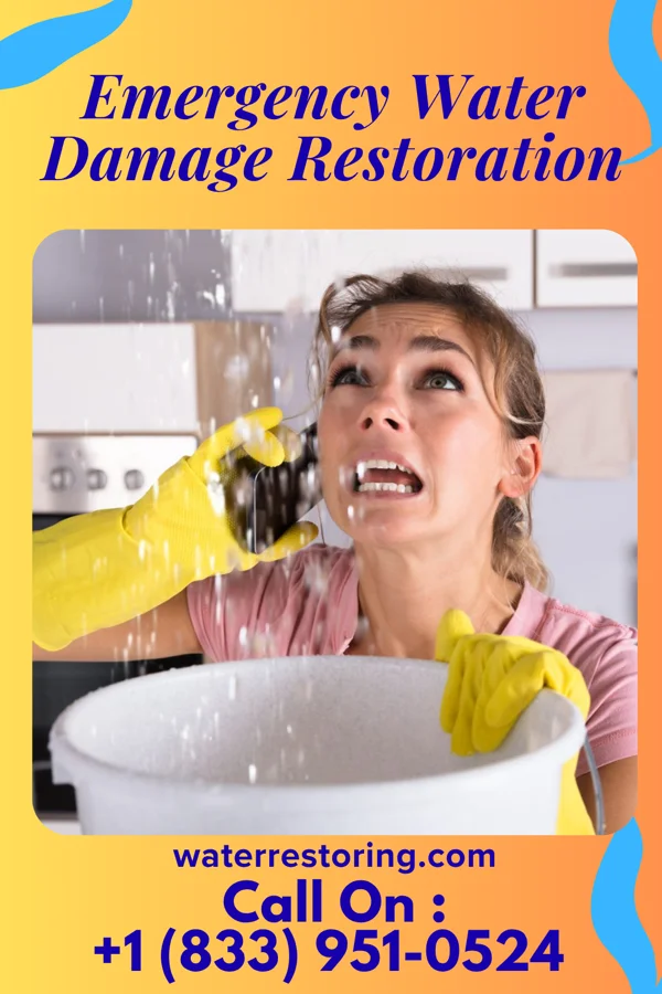 Emergency Water Damage Restoration in Jonesboro, LA
