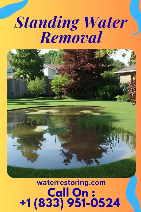 Standing Water Removal in Jonesboro, LA